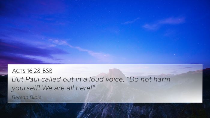 Acts 16:28 BSB 4K Wallpaper - But Paul called out in a loud voice, “Do not - 4K Wallpaper Bible Verse
