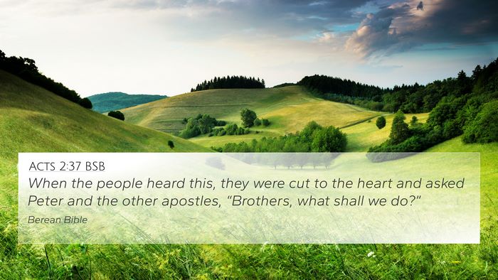 Acts 2:37 BSB Bible Verse Image