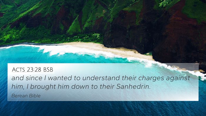 Acts 23:28 BSB Bible Verse Image