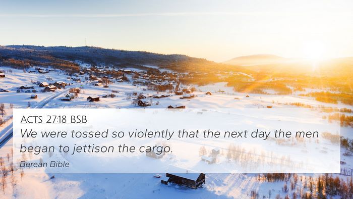Acts 27:18 BSB Bible Verse Image