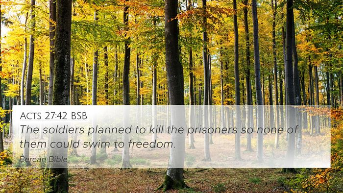 Acts 27:42 BSB Bible Verse Image