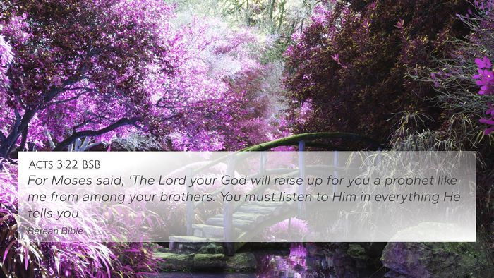 Acts 3:22 BSB Bible Verse Image