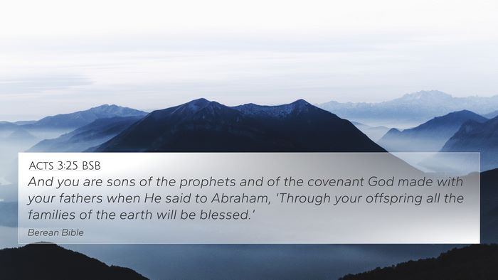 Acts 3:25 BSB Bible Verse Image