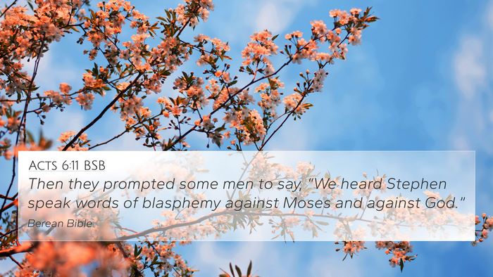 Acts 6:11 BSB Bible Verse Image