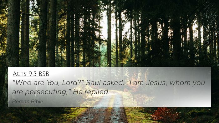 Acts 9:5 BSB Bible Verse Image