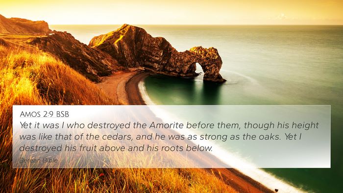 Amos 2:9 BSB Bible Verse Image