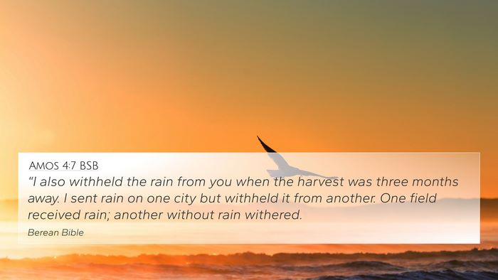 Amos 4:7 BSB Bible Verse Image