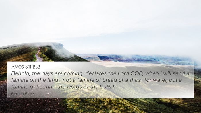Amos 8:11 BSB Bible Verse Image