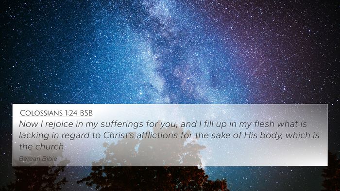 Colossians 1:24 BSB Bible Verse Image