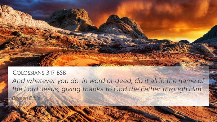 Colossians 3:17 BSB Bible Verse Image