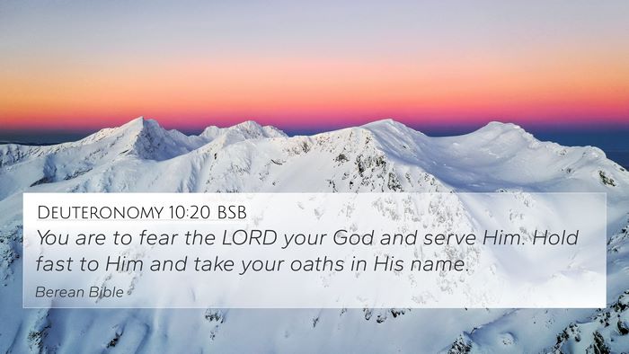 Deuteronomy 10:20 BSB Bible Verse Image