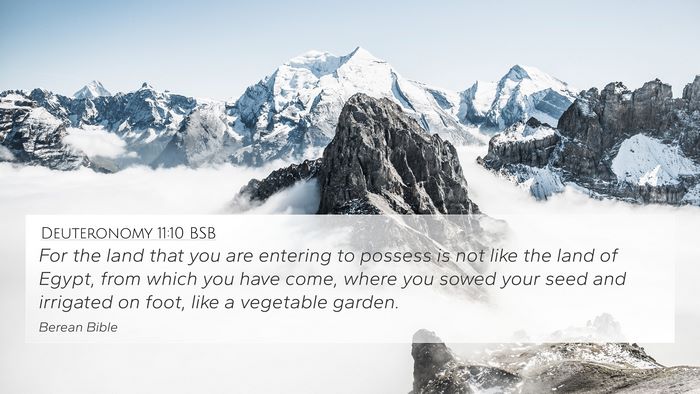 Deuteronomy 11:10 BSB Bible Verse Image