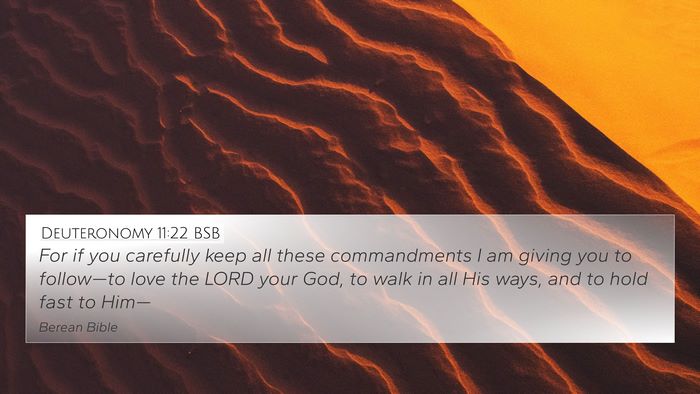 Deuteronomy 11:22 BSB Bible Verse Image
