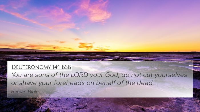Deuteronomy 14:1 BSB Bible Verse Image