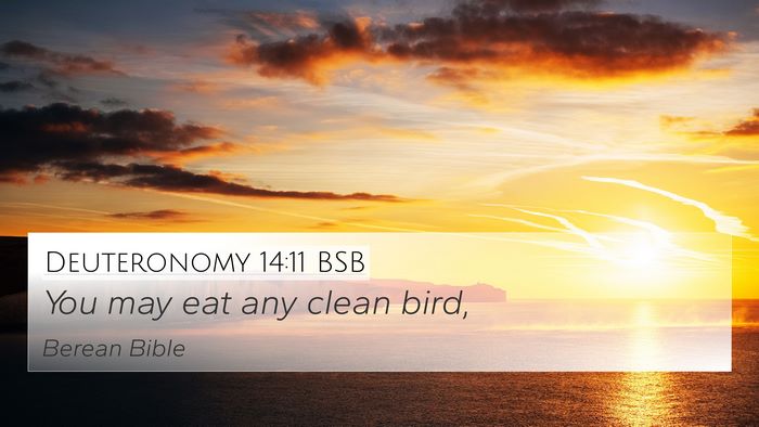 Deuteronomy 14:11 BSB 4K Wallpaper - You may eat any clean - 4K Wallpaper Bible Verse