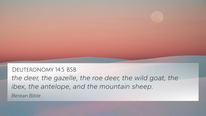 Deuteronomy 14:5 BSB 4K Wallpaper - the deer, the gazelle, the roe deer, the wild - 4K Wallpaper Bible Verse