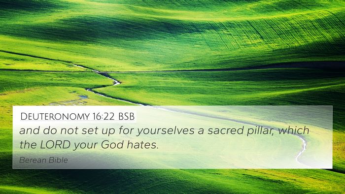 Deuteronomy 16:22 BSB Bible Verse Image