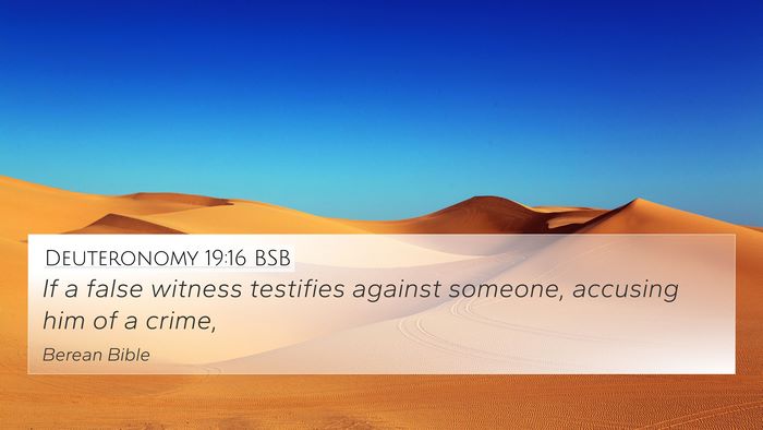 Deuteronomy 19:16 BSB Bible Verse Image
