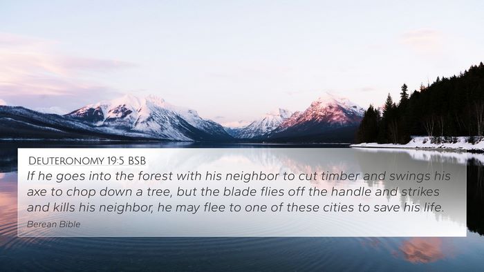 Deuteronomy 19:5 BSB Bible Verse Image