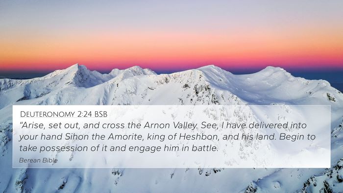 Deuteronomy 2:24 BSB Bible Verse Image