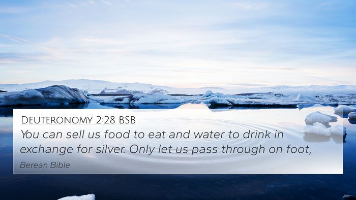 Deuteronomy 2:28 BSB Bible Verse Image