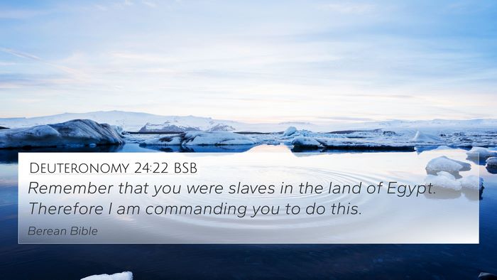 Deuteronomy 24:22 BSB Bible Verse Image