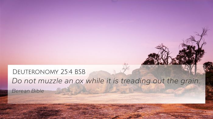 Deuteronomy 25:4 BSB Bible Verse Image
