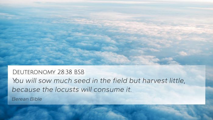 Deuteronomy 28:38 BSB Bible Verse Image