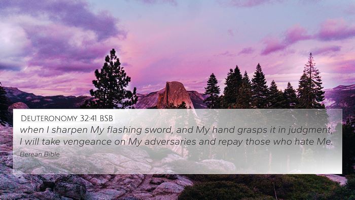 Deuteronomy 32:41 BSB Bible Verse Image