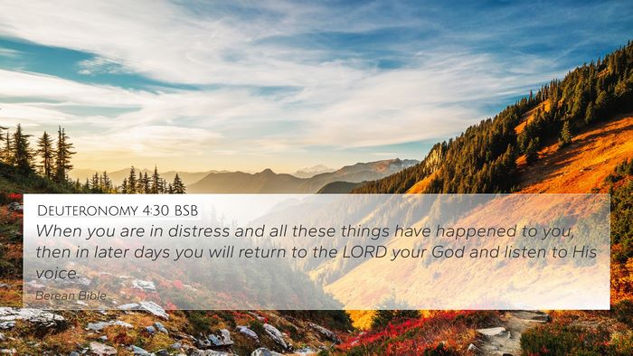 Deuteronomy 4:30 BSB Bible Verse Image