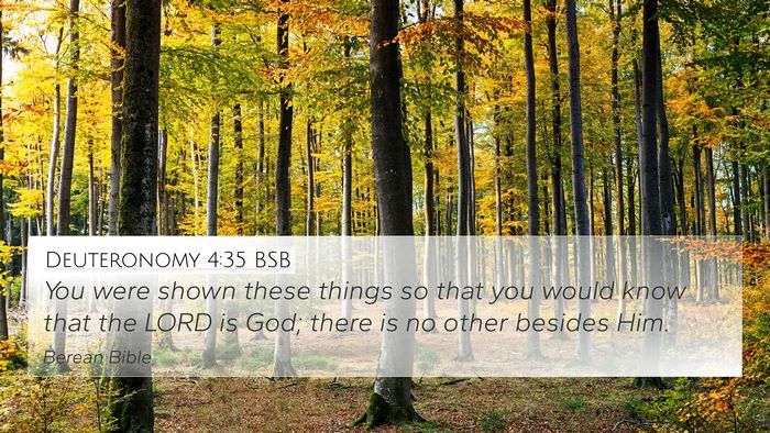 Deuteronomy 4:35 BSB Bible Verse Image