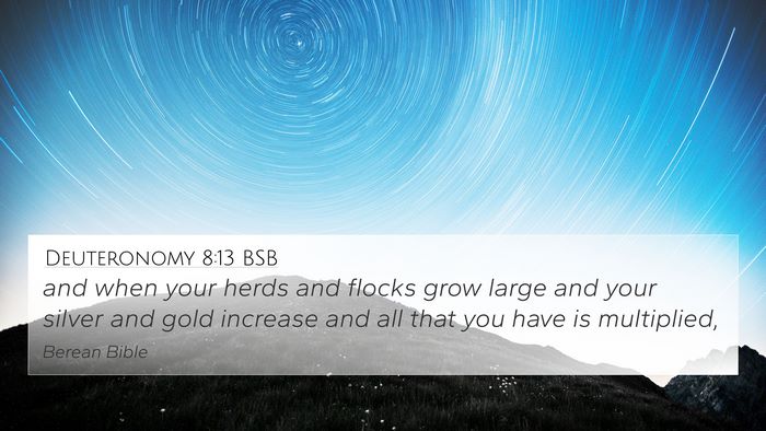 Deuteronomy 8:13 BSB Bible Verse Image