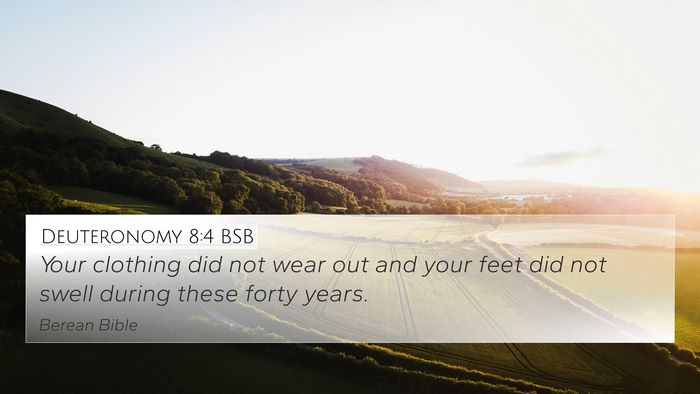 Deuteronomy 8:4 BSB Bible Verse Image
