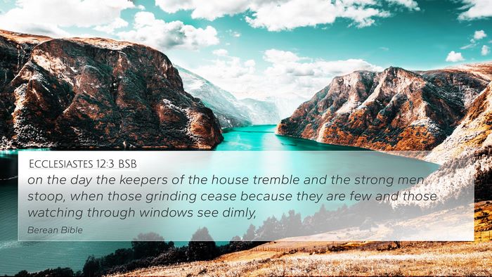 Ecclesiastes 12:3 BSB Bible Verse Image