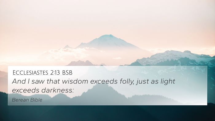 Ecclesiastes 2:13 BSB Bible Verse Image