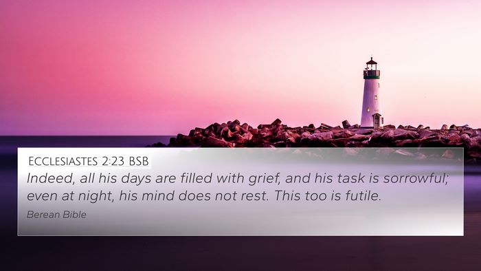 Ecclesiastes 2:23 BSB Bible Verse Image