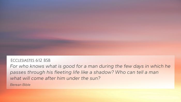 Ecclesiastes 6:12 BSB Bible Verse Image
