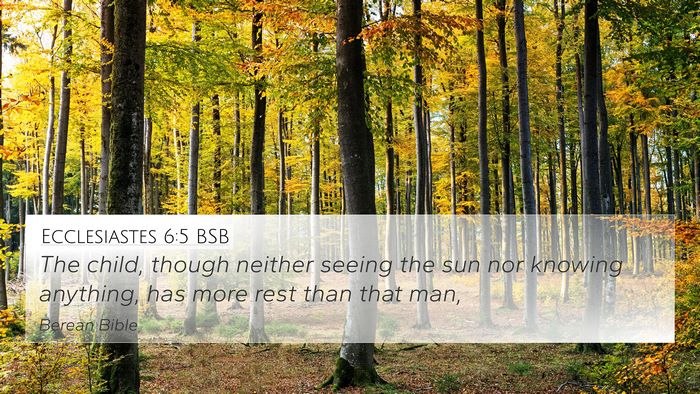Ecclesiastes 6:5 BSB Bible Verse Image