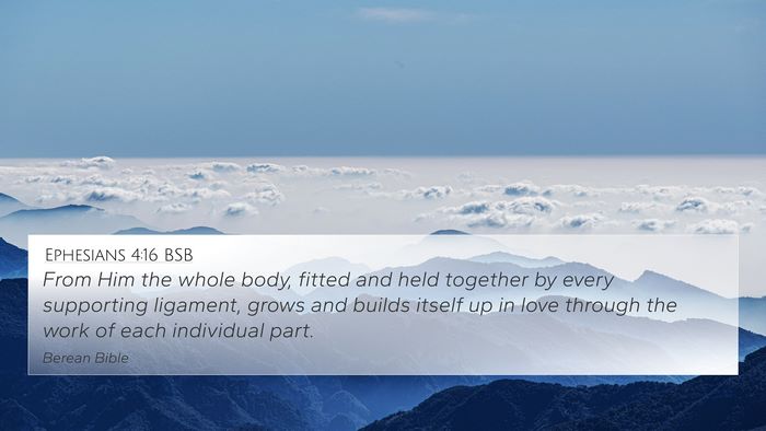 Ephesians 4:16 BSB Bible Verse Image