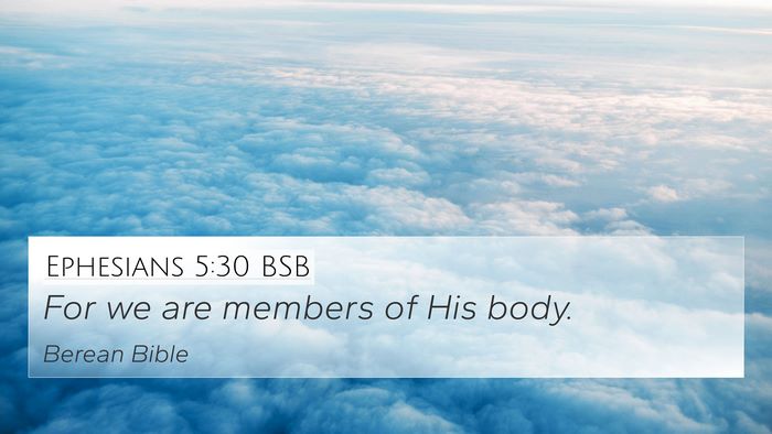 Ephesians 5:30 BSB Bible Verse Image
