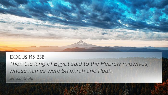 Exodus 1:15 BSB 4K Wallpaper - Then the king of Egypt said to the Hebrew - 4K Wallpaper Bible Verse