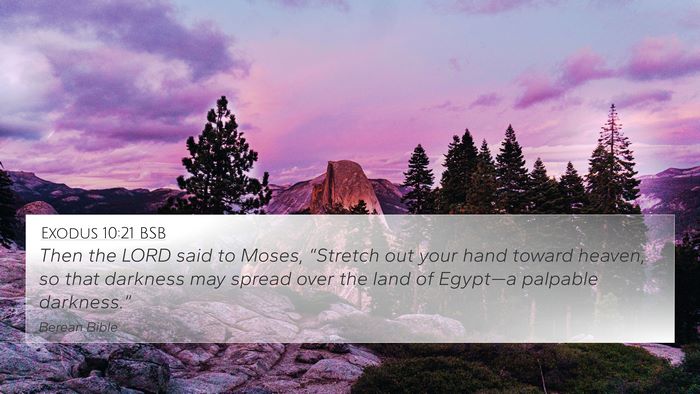 Exodus 10:21 BSB Bible Verse Image