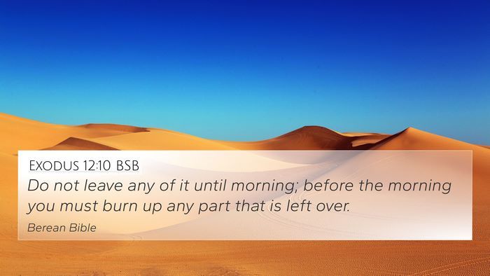 Exodus 12:10 BSB Bible Verse Image