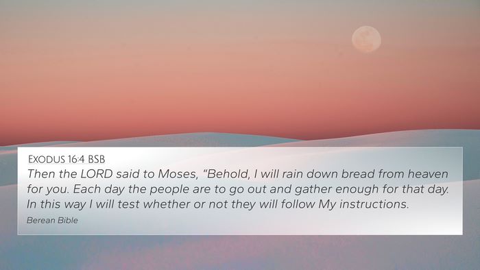 Exodus 16:4 BSB Bible Verse Image