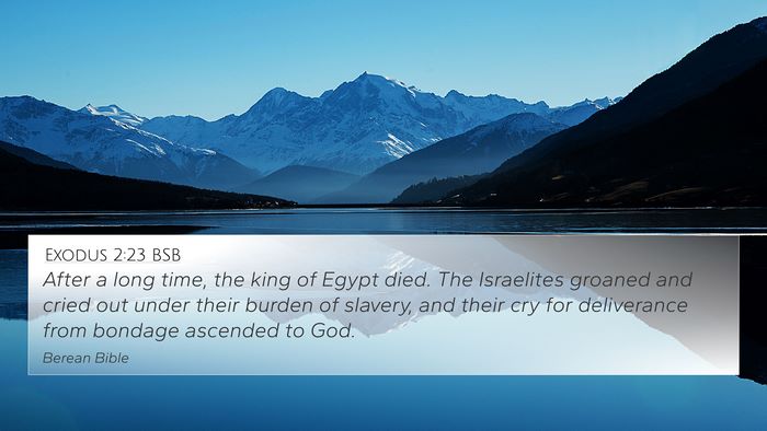 Exodus 2:23 BSB Bible Verse Image