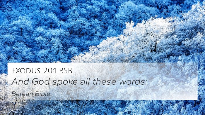 Exodus 20:1 BSB Bible Verse Image