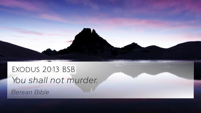 Exodus 20:13 BSB Bible Verse Image