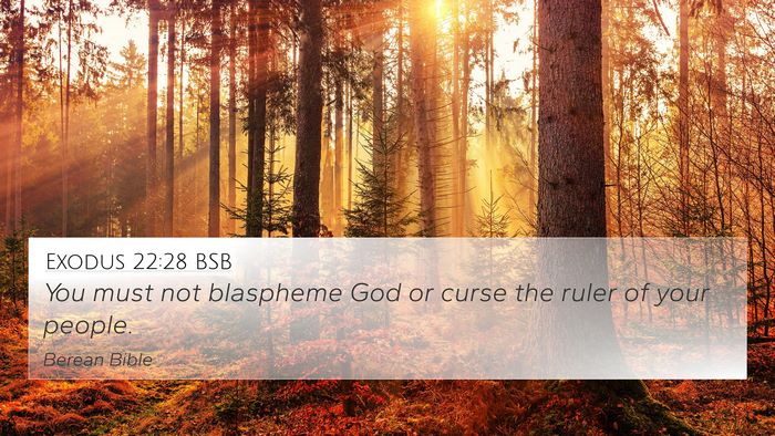 Exodus 22:28 BSB Bible Verse Image