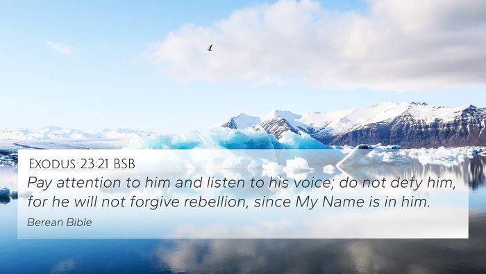 Exodus 23:21 BSB Bible Verse Image