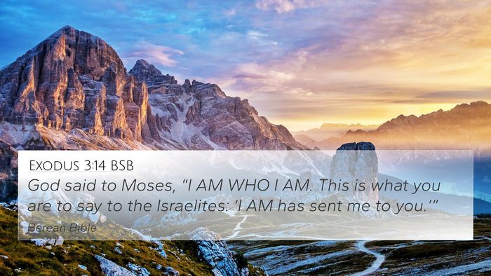 Exodus 3:14 BSB Bible Verse Image